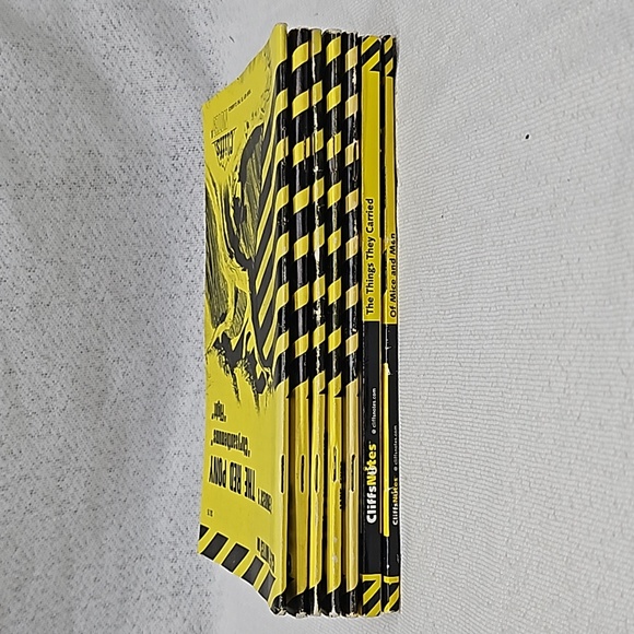 Cliffs Notes - Bundle - Picture 9 of 12